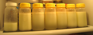 milk
