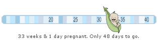 Lilypie Expecting a baby Ticker
